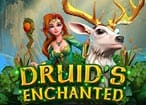 druids enchanted