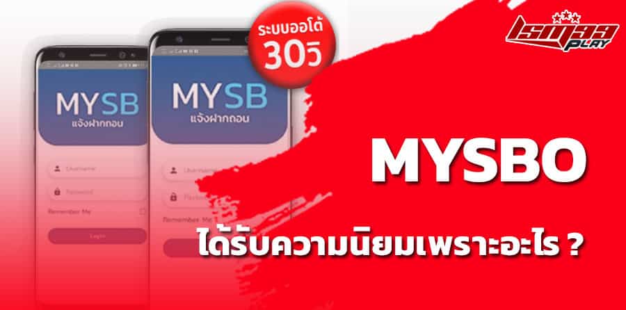 mysbo ดียังไง