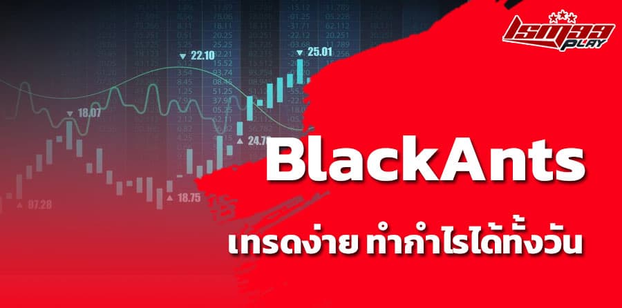 Black Ants คืออะไร