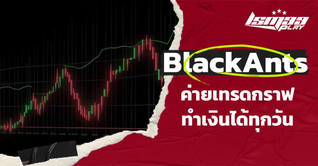 เล่นเกมกราฟ Black Ants